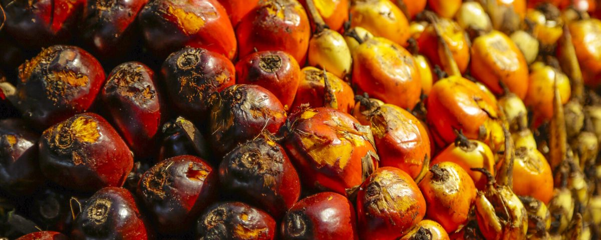 Vertical shot of piled palm kernel oil on the ground – perfect for background A vertical shot of piled palm kernel oil on the ground - perfect for background